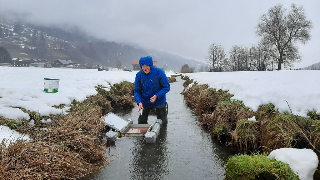 Brutboxenprojekt im Allgäu 2.jpg